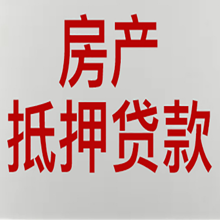 城中贷款中介公司新渝启服实力公司